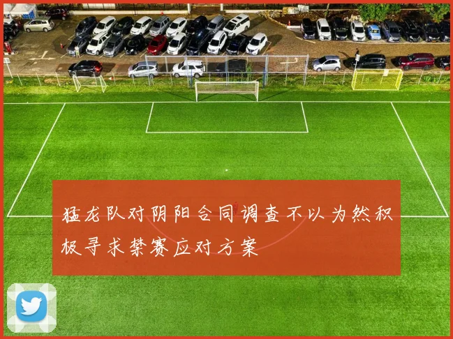 猛龙队对阴阳合同调查不以为然积极寻求禁赛应对方案