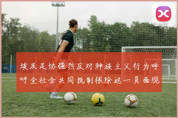 埃及足协强烈反对种族主义行为呼吁全社会共同抵制根除这一负面现象
